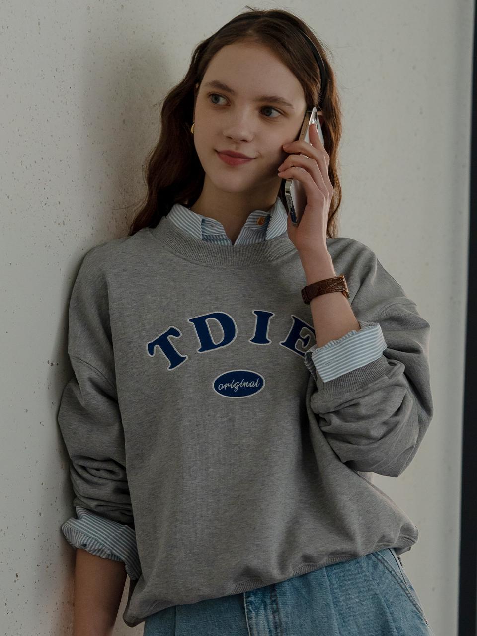 [2차]TDIE sweatshirt_Gray